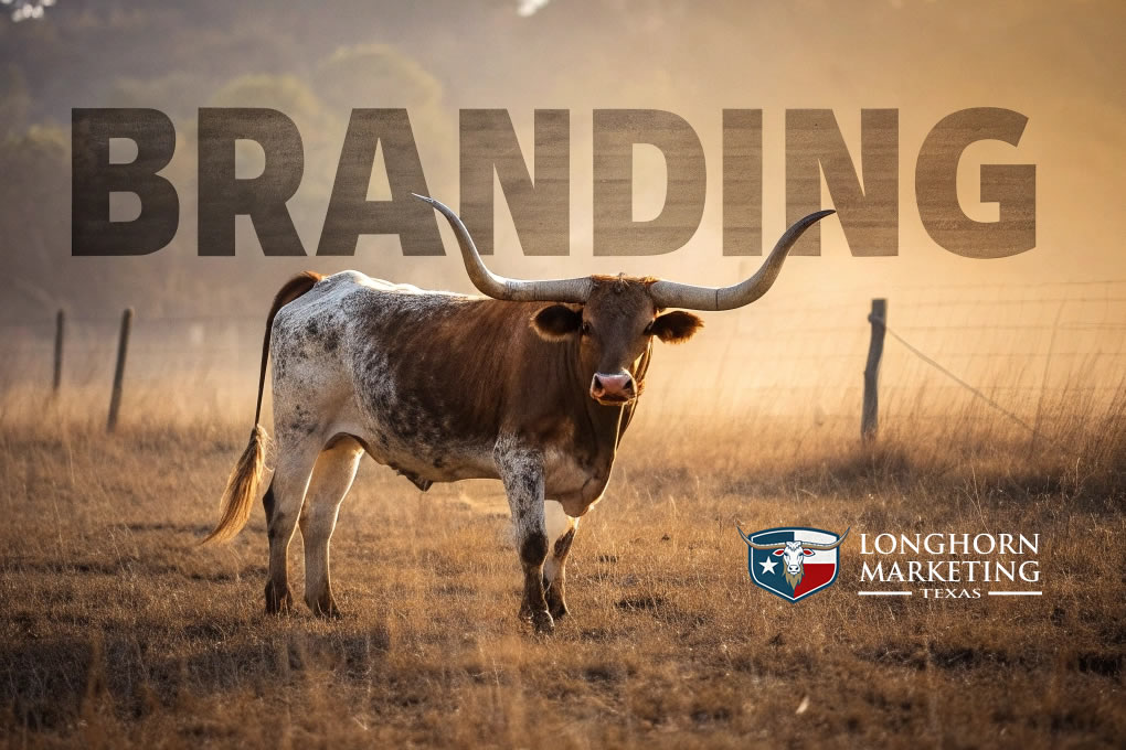 Branding strategies for businesses in Georgetown, Texas